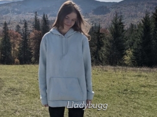 Lladybugg