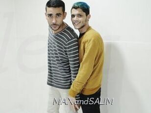 MAXandSALIM