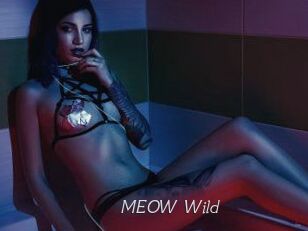 MEOW_Wild