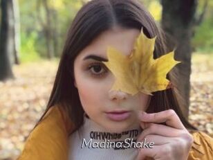 MadinaShake