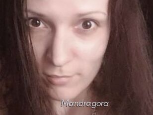 Mandragora