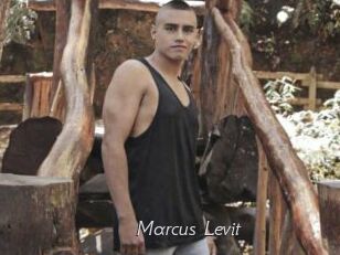 Marcus_Levit