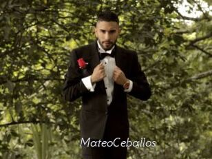 MateoCeballos