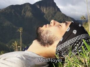 MattHayes