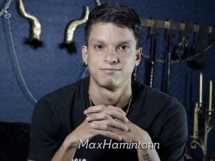 MaxHamintonn