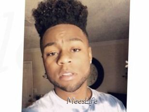 MeesLife