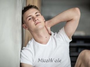 MicahVale