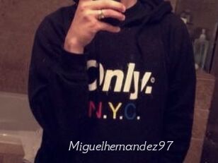 Miguel_hernandez97