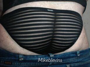 Mikeblevins