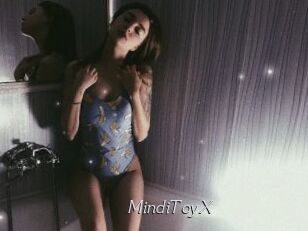 MindiToyX