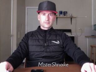 MisterShnake