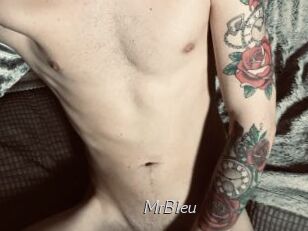 MrBleu