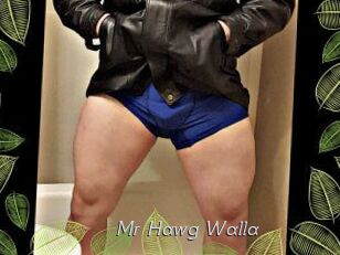 Mr_Hawg_Walla