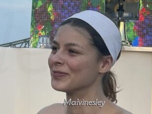 Malvinesley