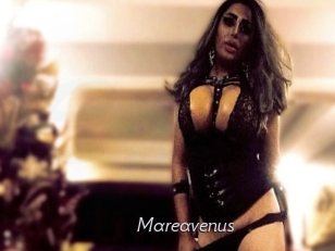 mareavenus Le Scandale