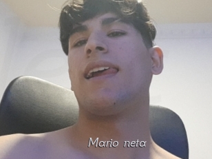 Mario_neta