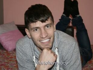 Mariohornyboy
