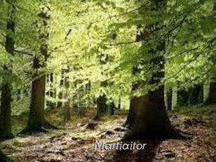 Martiaitor