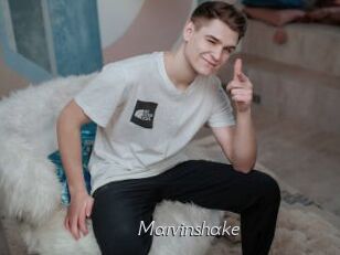 Marvinshake