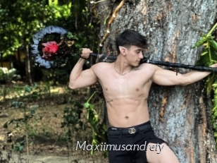 Maxiimusandrety