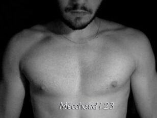Mecchaud123