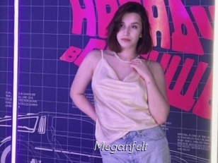Meganfelt
