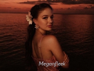 Meganfleek