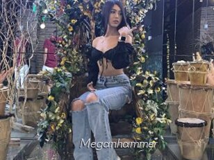 Meganhammer