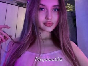 Meganrabbit