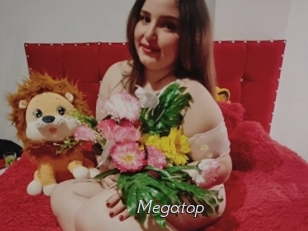 Megatop