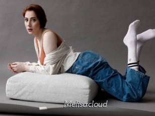 Melisacloud