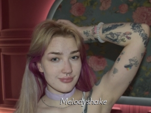 Melodyshake