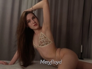 Meryfloyd