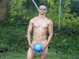 Mitchellburns