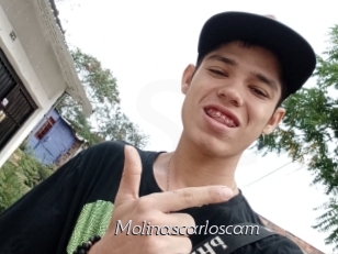 Molinascarloscam