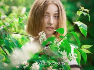 Mollieevans