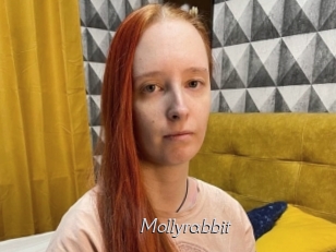 Mollyrabbit