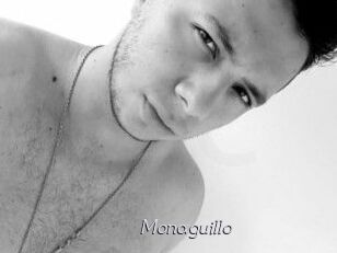 Monaguillo