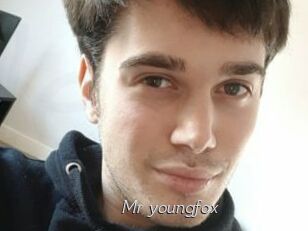 Mr_youngfox