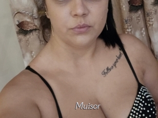 Muisor