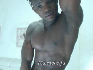 Mulatohotfu