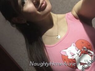 NaughtyHomeAlone