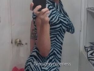 Naughtyniceness