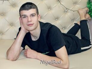 NigelBud