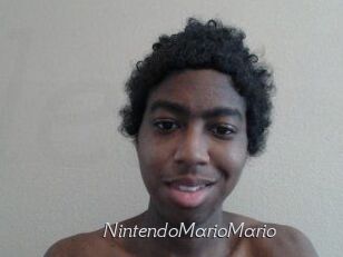 NintendoMarioMario