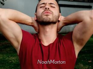 NoahMorton
