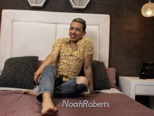 NoahRoberts
