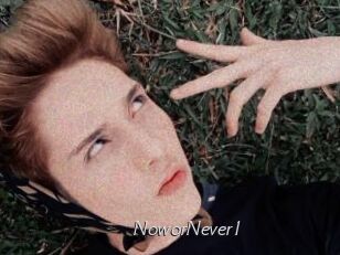 NoworNever1