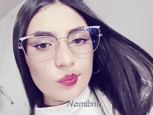 Namibms