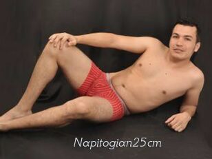 Napitogian25cm
